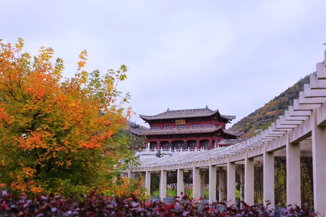 深秋等你到来,深秋等你来