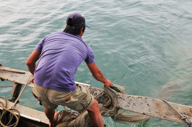 四川的小伙流落巴西,四川小伙背井离乡视频