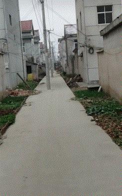 爆笑：以你们的智商，怎么能生意兴隆啊