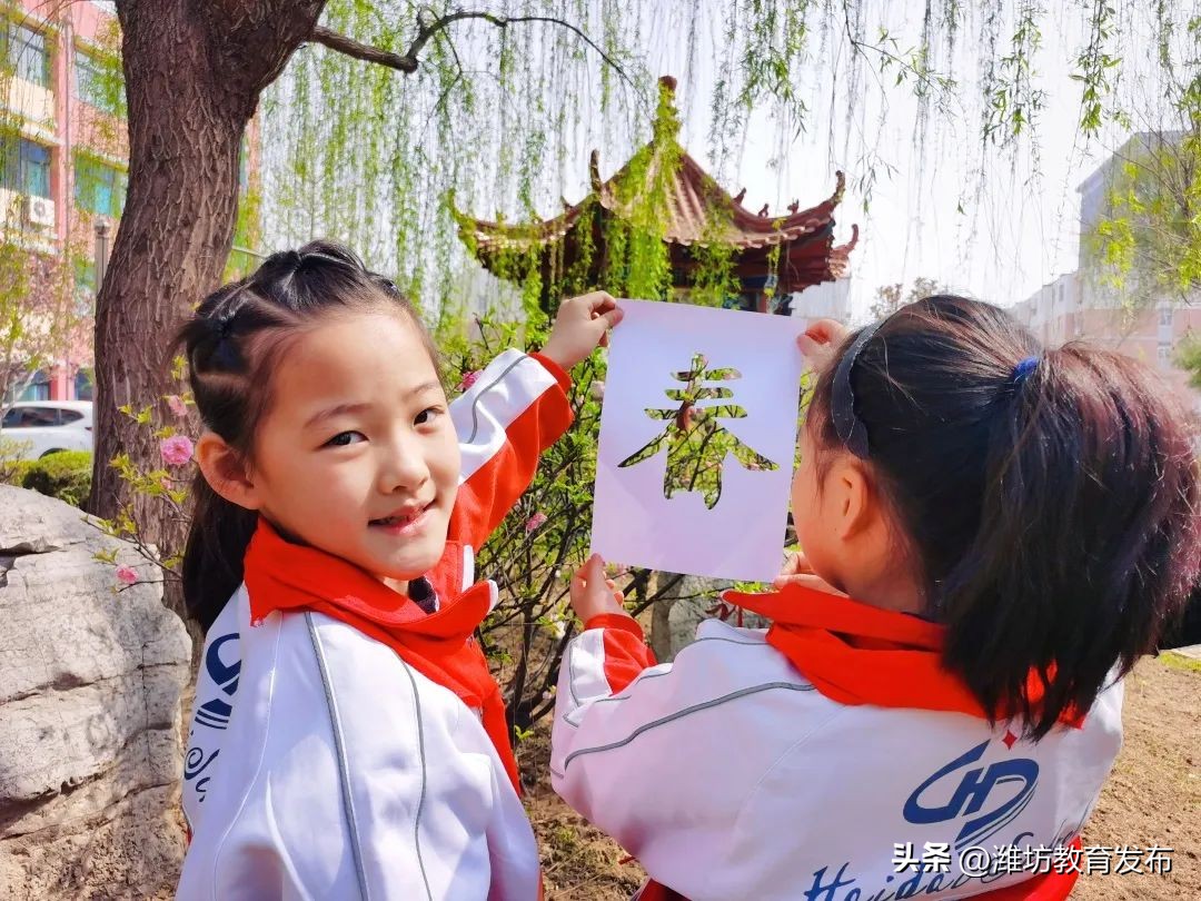 美！潍坊校园春景强势来袭