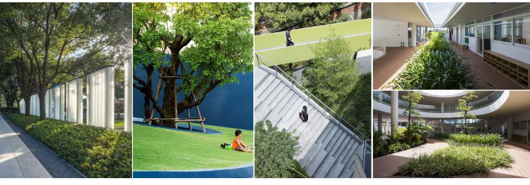 打造学生健康快乐成长的“林中学堂”，这所深圳高中做到了！