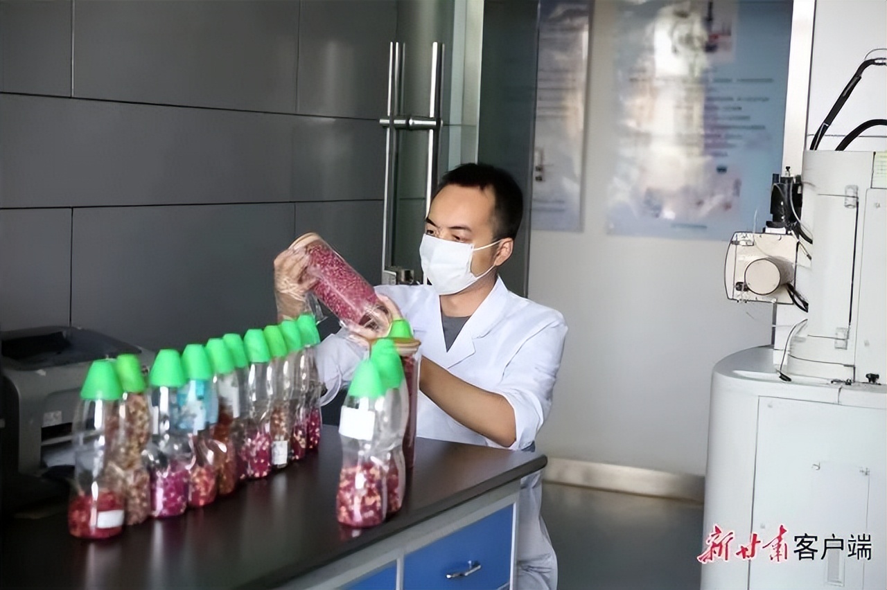 你好庆阳,庆阳新闻2020.3.15