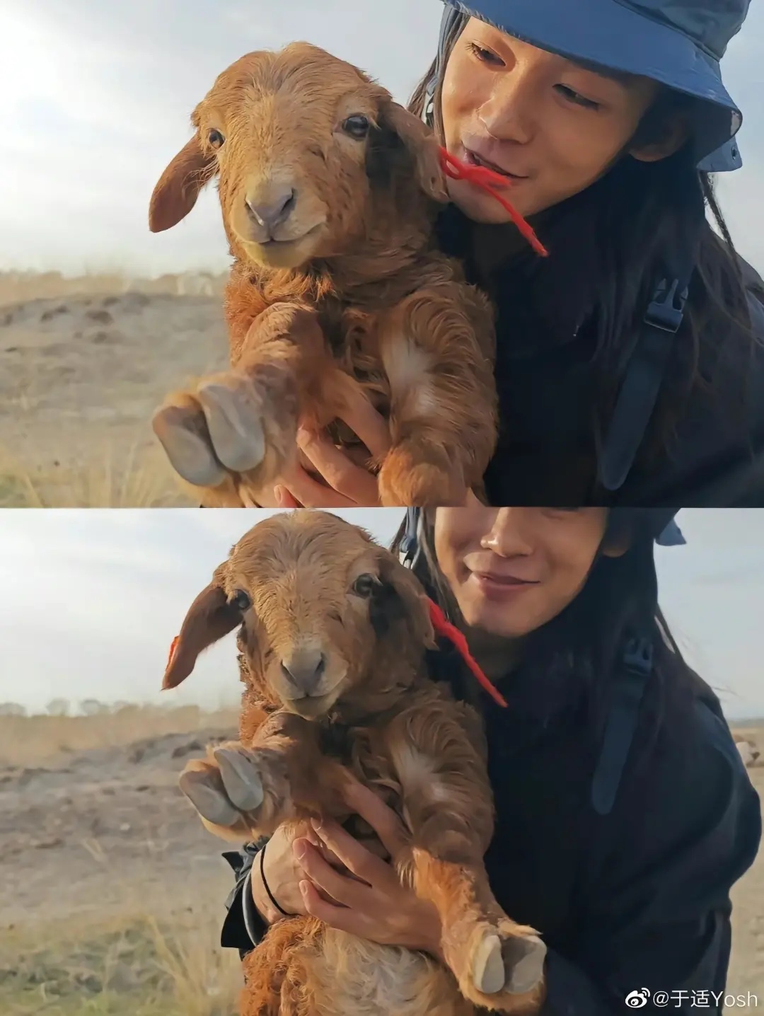 麦西拉我的阿勒泰什么时候上映,麦西拉我的阿勒泰结局