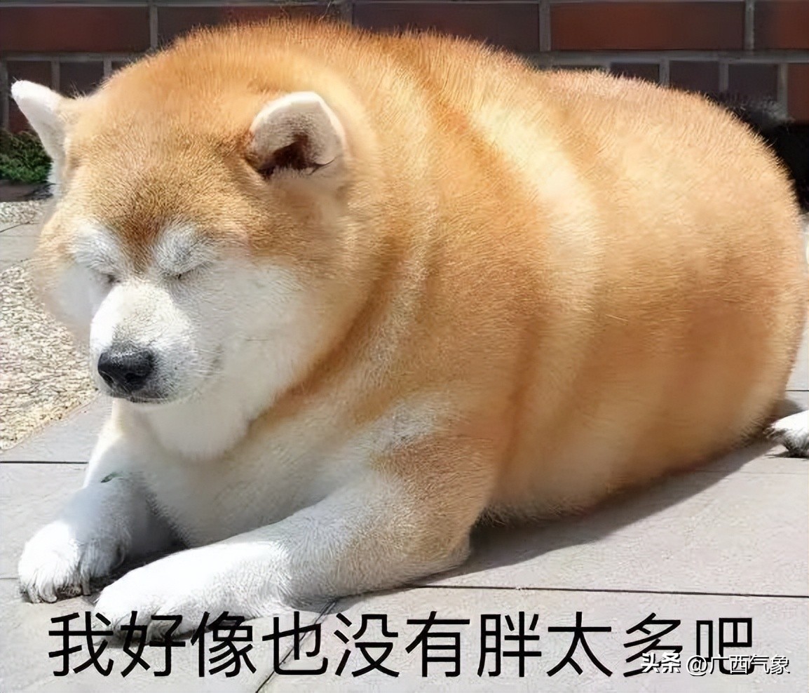 冷空气来袭桂北气温将降个位数,冷空气南下桂北转阴雨