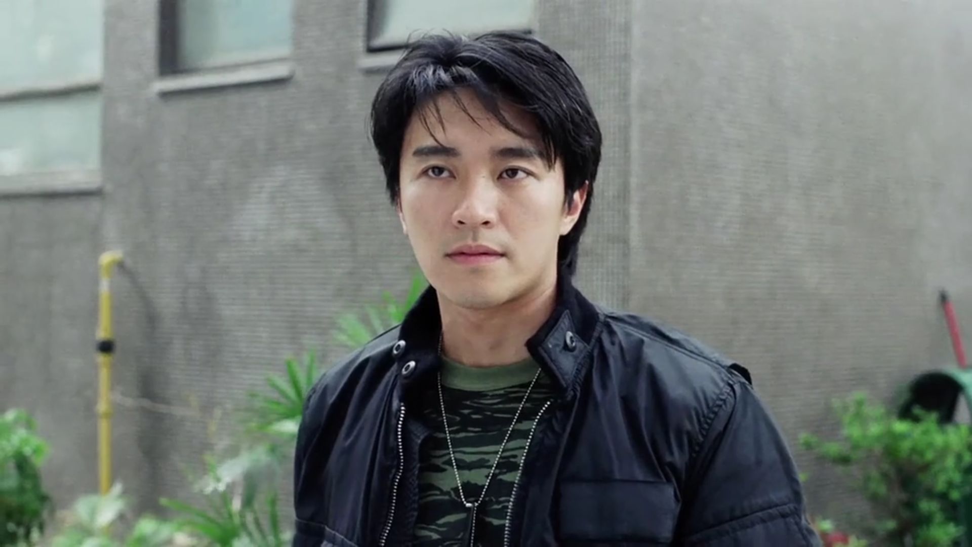 情断周扬青完整版,朱茵周星驰伤感情史