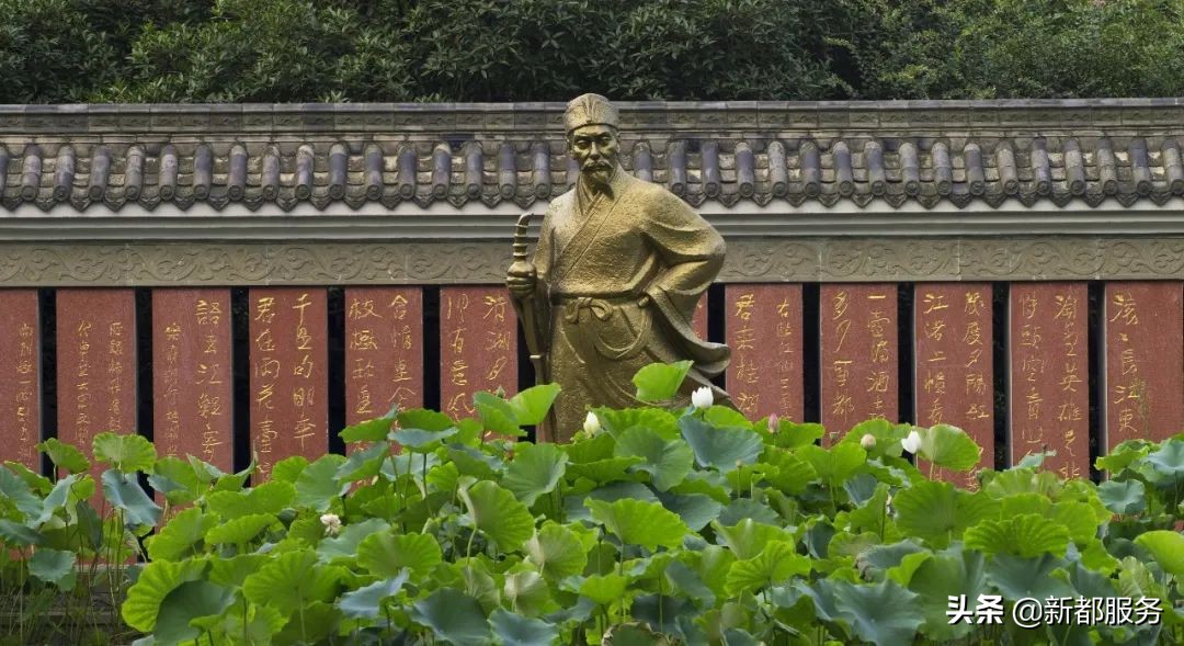 新都是镇还是区啊,什么是幸福的文案