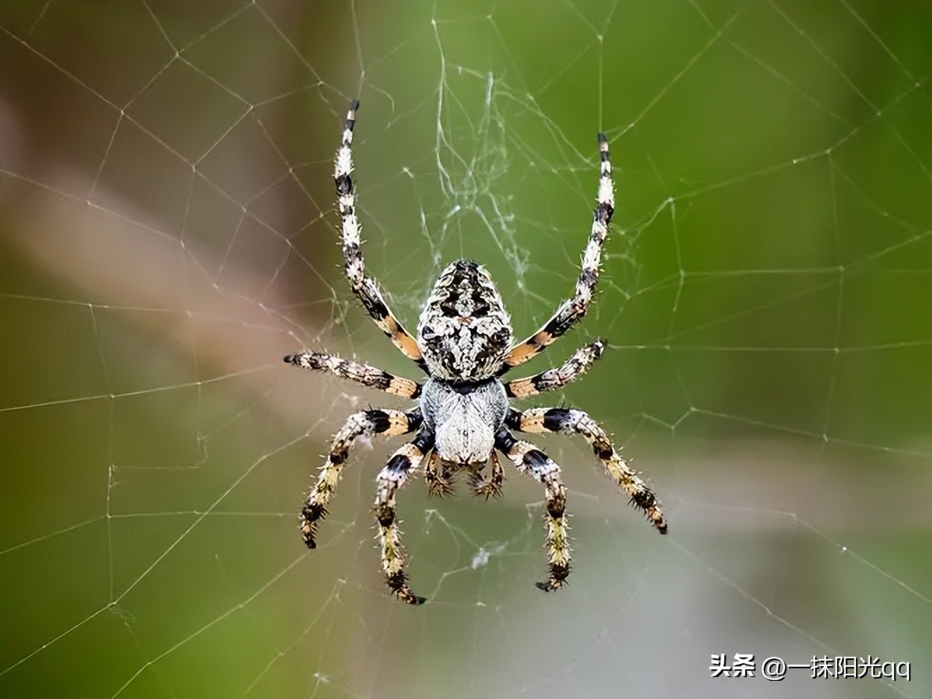 安全哲理小故事大全,短篇哲理小故事大全