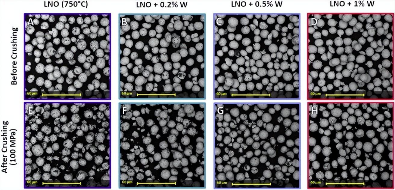 LiNiO2正极材料中Al和W的力学强化机制及其对电池性能的影响