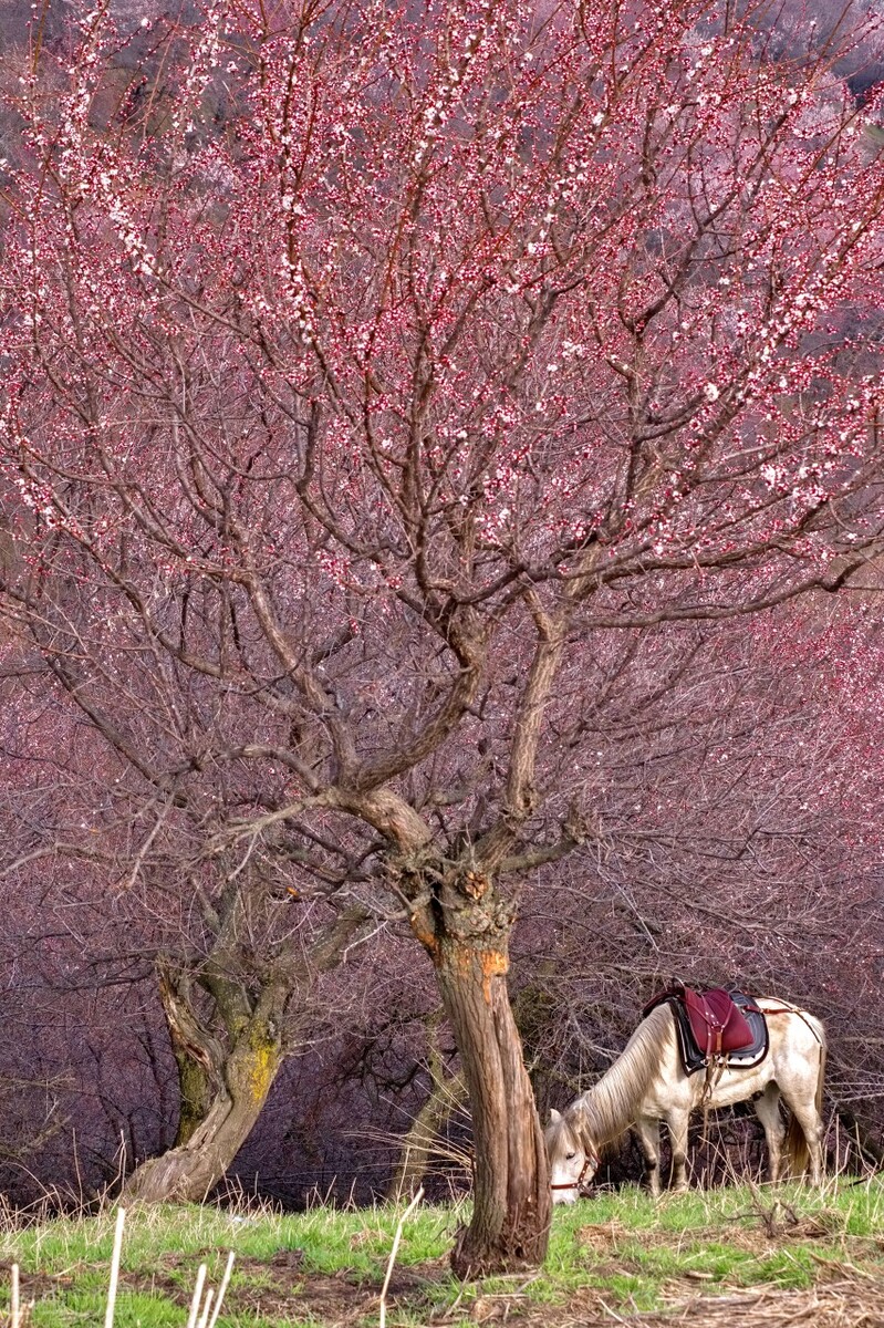 清朝地方官制一览表,清朝冷知识