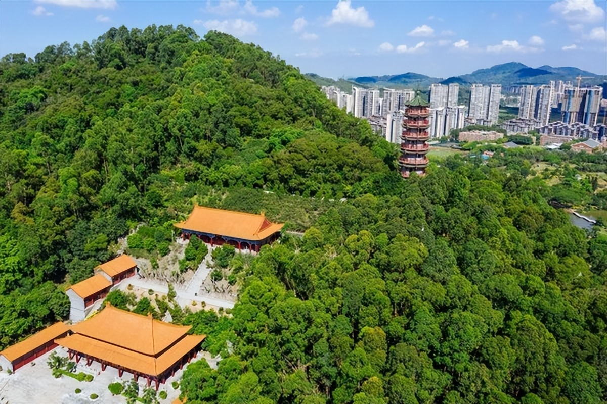 湾区光影魅力,南沙湾区超美风景线