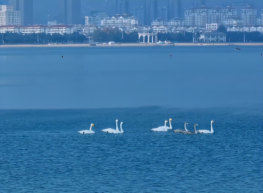 杩欐潯璺彲浠ヤ竴鐩磋蛋涓嬪幓,浠庢鍙互鍝佸皾浜洪棿鐑熺伀