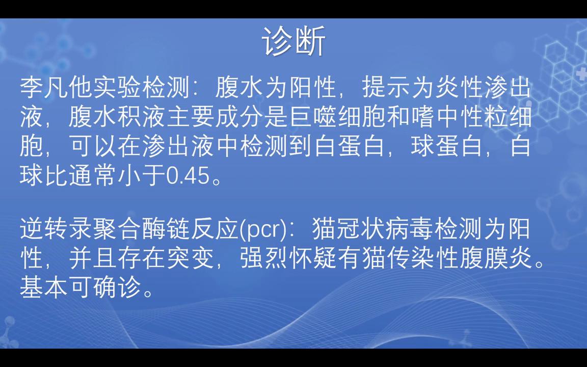 猫传染性腹膜炎和猫传腹一样吗,猫传染性腹膜炎治疗要多少钱