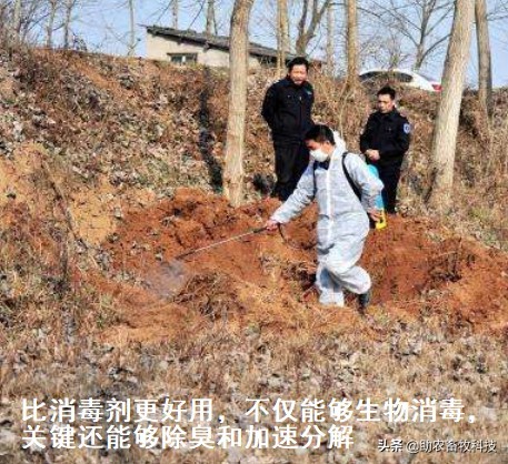 病死动物无害化处理实现全覆盖,宁夏病死动物无害化处理实施方案