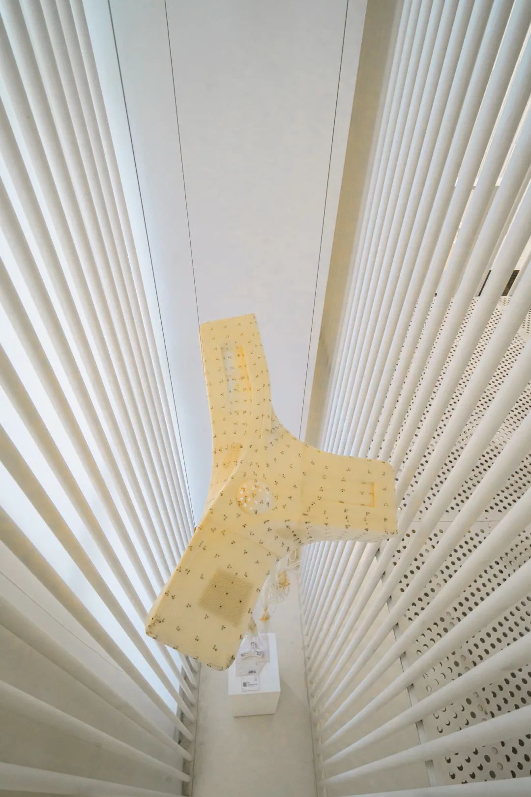 魔都最强博物馆,魔都博物馆之旅