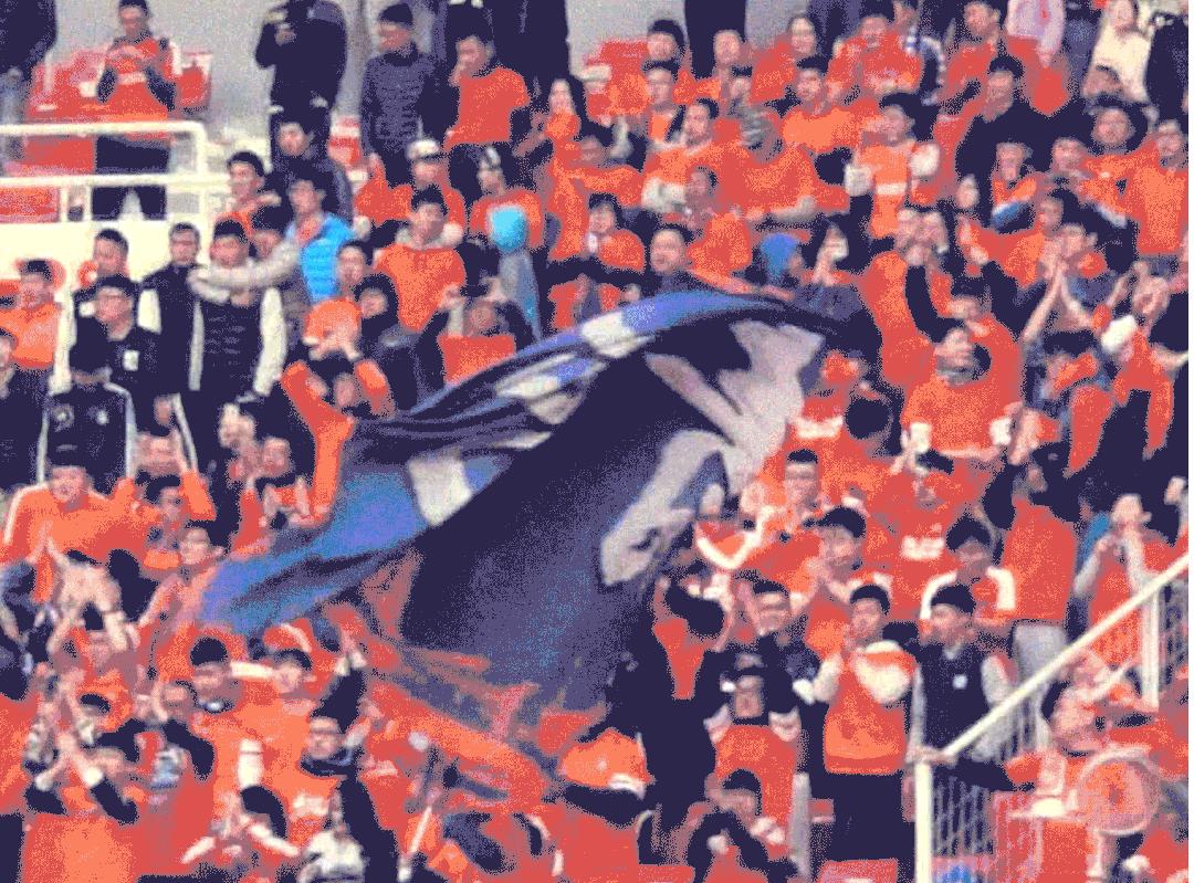 联赛战报新援首秀抢眼双杀连胜,郑龙夺冠