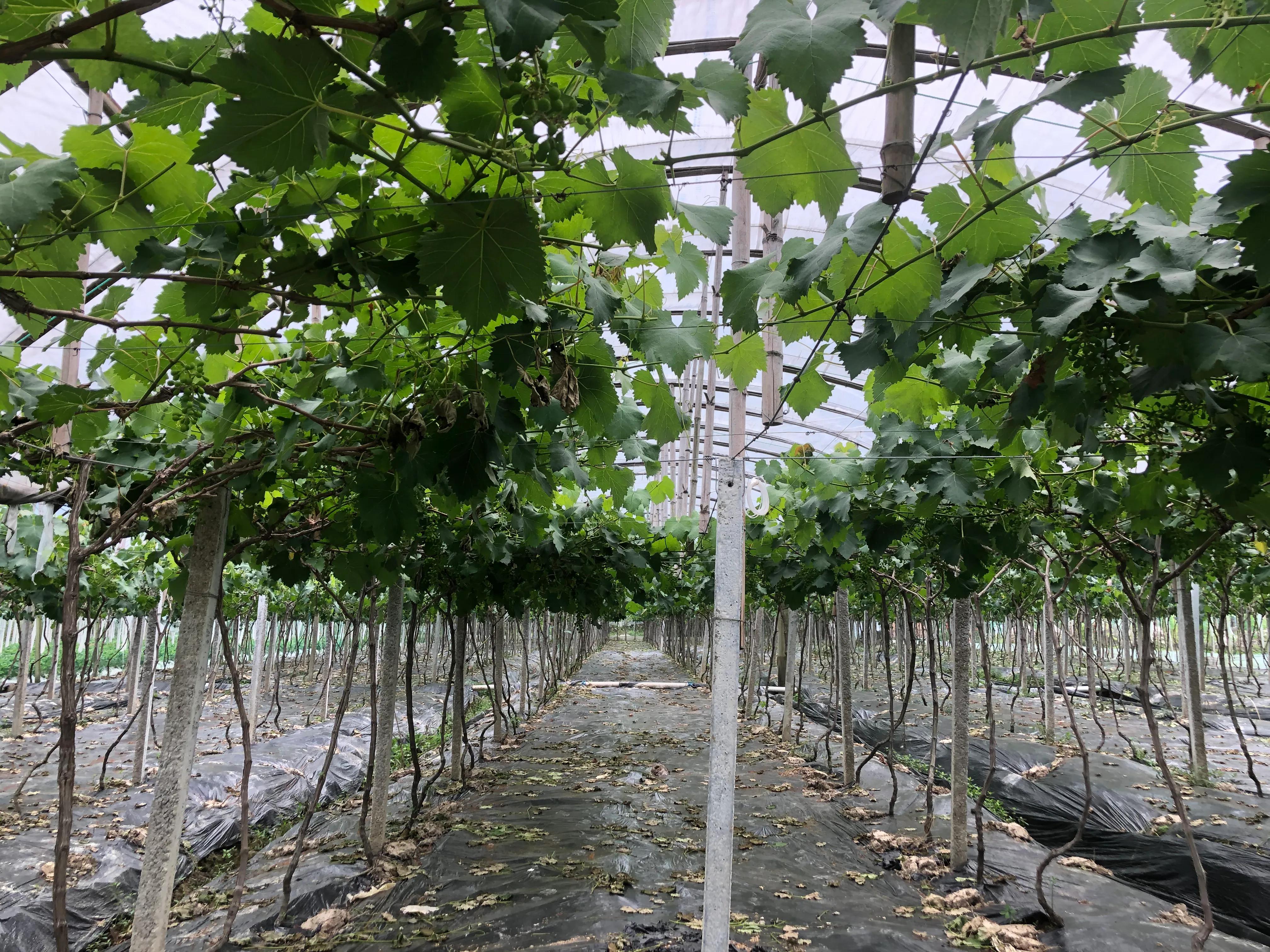 乐在其中自由自在,参与其中乐在其中意思