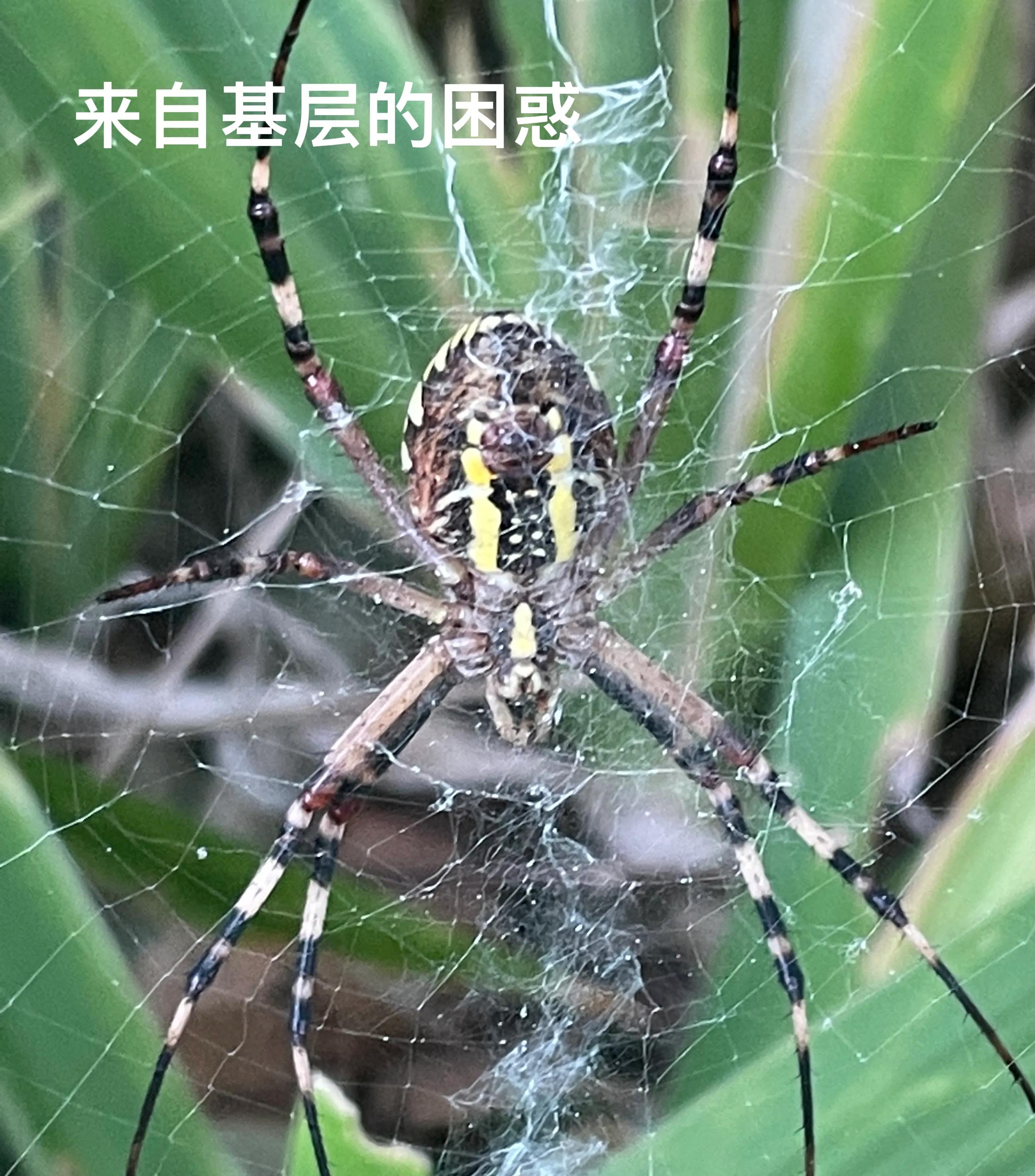 副高继续教育学分要求,如何获得继续医学教育学分