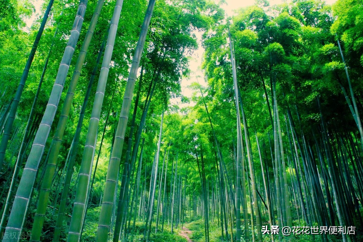 浙江湖州:景美人善不宰客,很多人都忽略了它