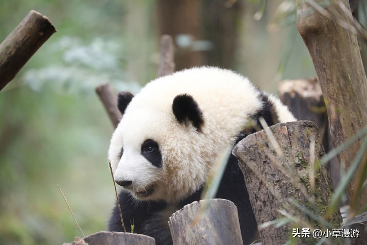 快来看看这十个最佳旅行地方吧,八个最值得旅行的地方