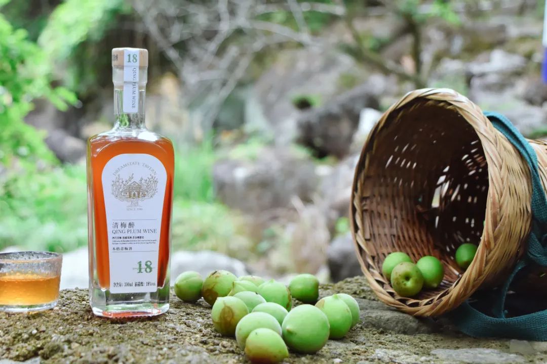 清梅醉|梅子黄时雨，一口梅酒一口粽