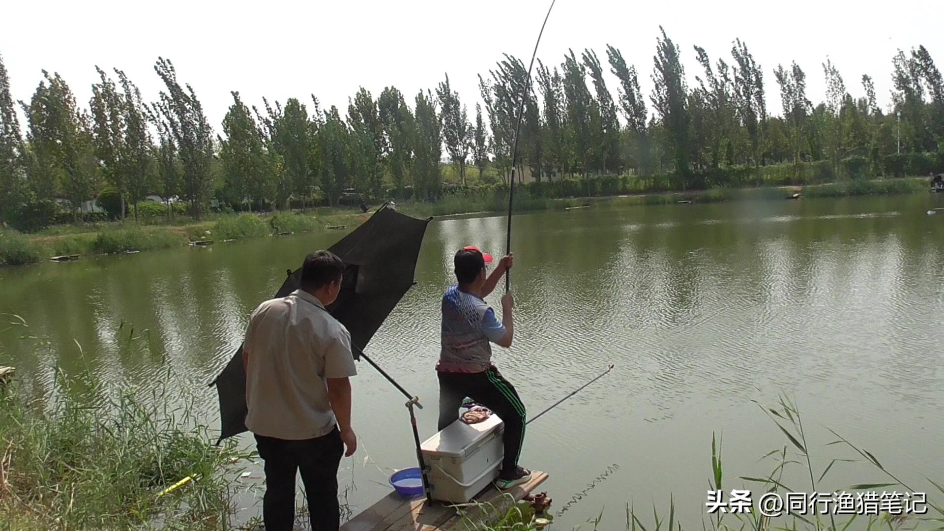 买鱼竿避开大品牌,选鱼竿别盲目