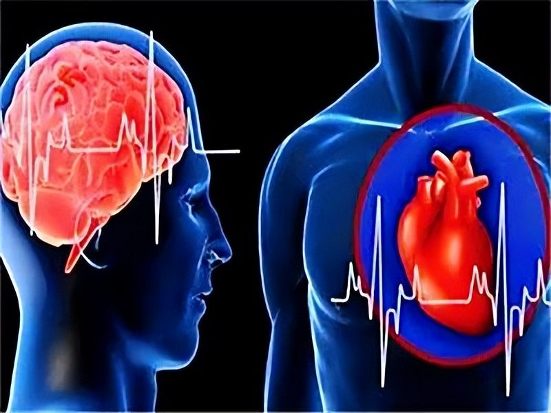 4味猛药打通全身的血管淤堵,降血脂溶血栓吃啥药好