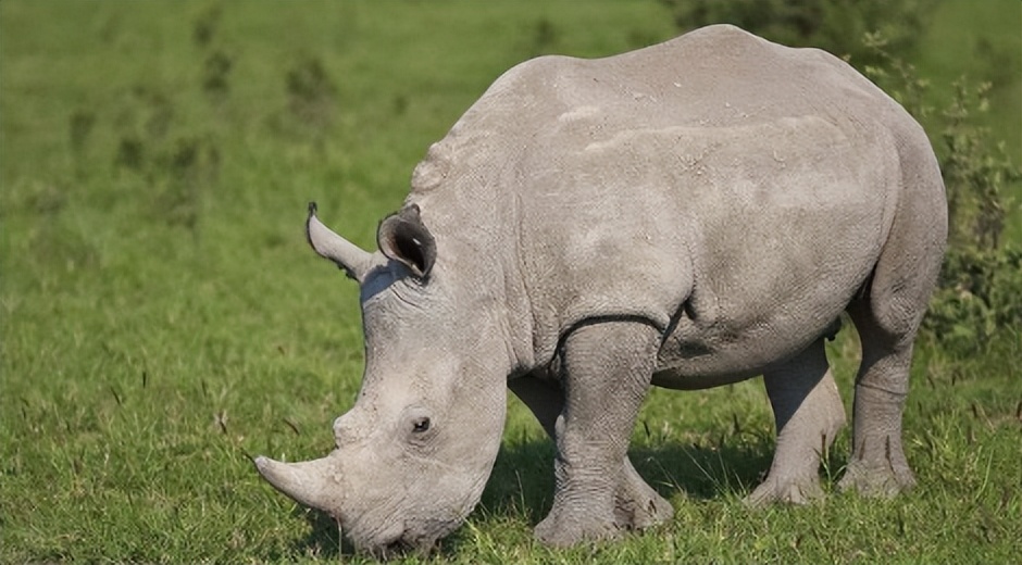 买饰品后被判刑,昆明一女子购买吊坠被判十年