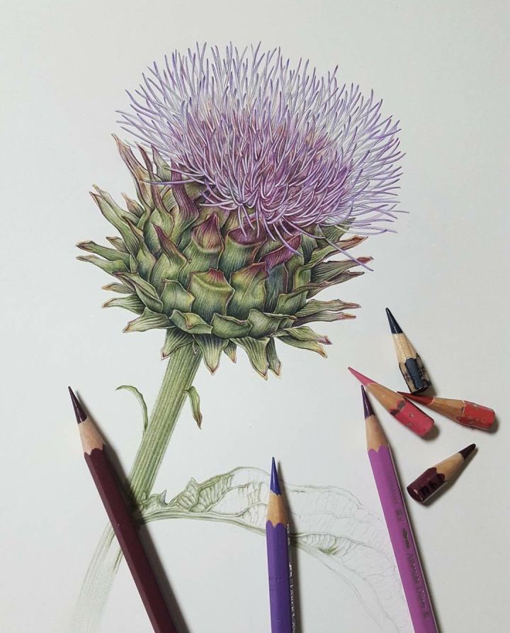 初学画画入门零基础直播,初学画画到底应该学什么