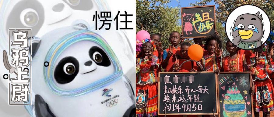 冰墩墩变身,冰墩墩变身冰墩墩