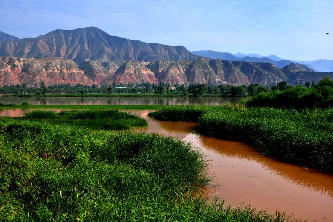 金城著名地方,金城历史由来