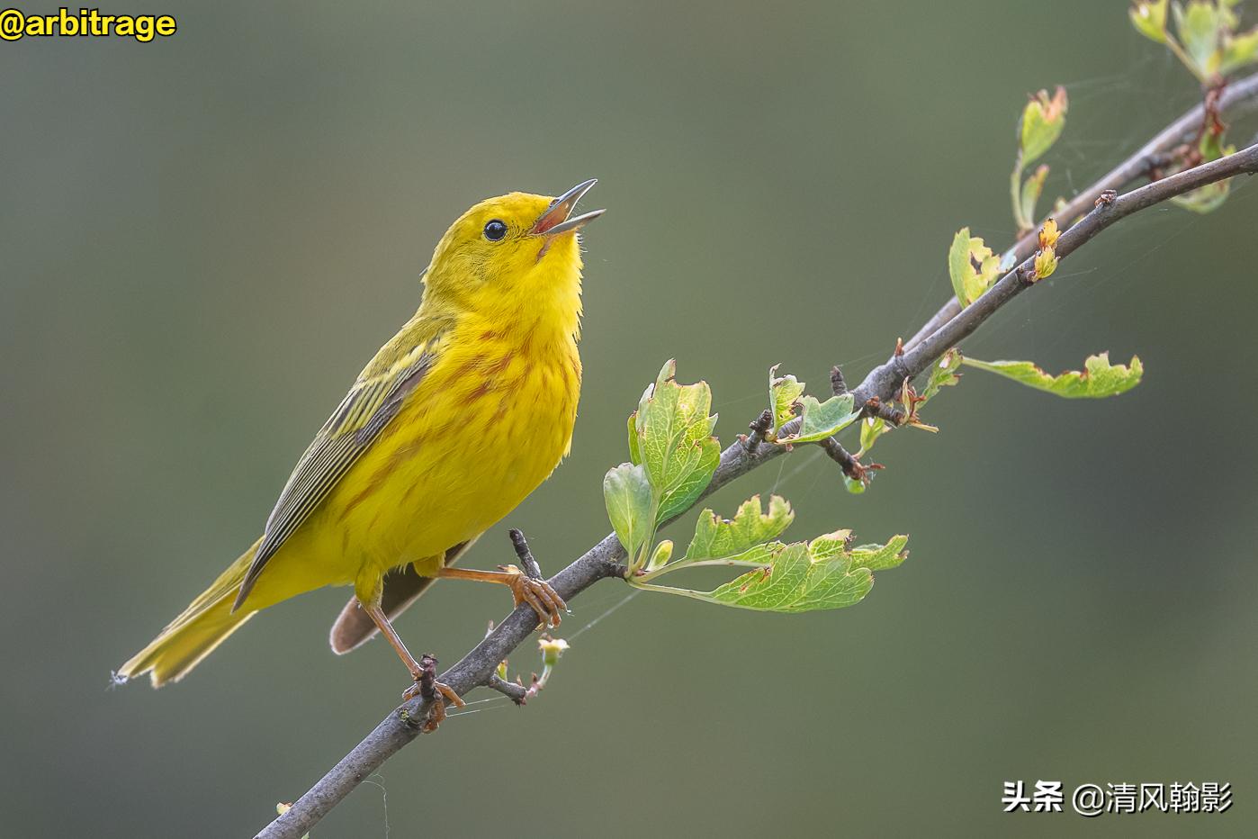 尼康d850拍照有多强,摄影器材篇尼康d850