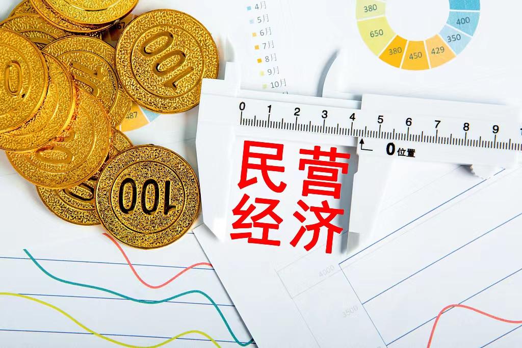 2023年中国民营企业100强：北上广深四座城市孰强孰优？