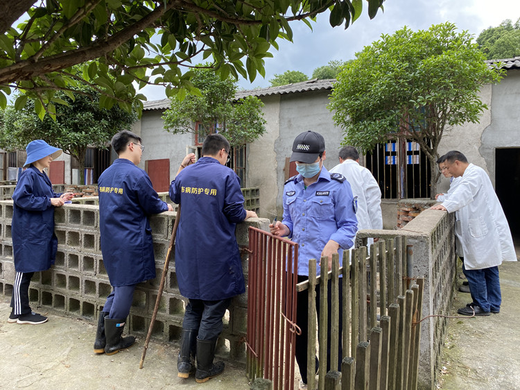 黑山羊病诊断与防治图谱,羊口腔糜烂的治疗方法