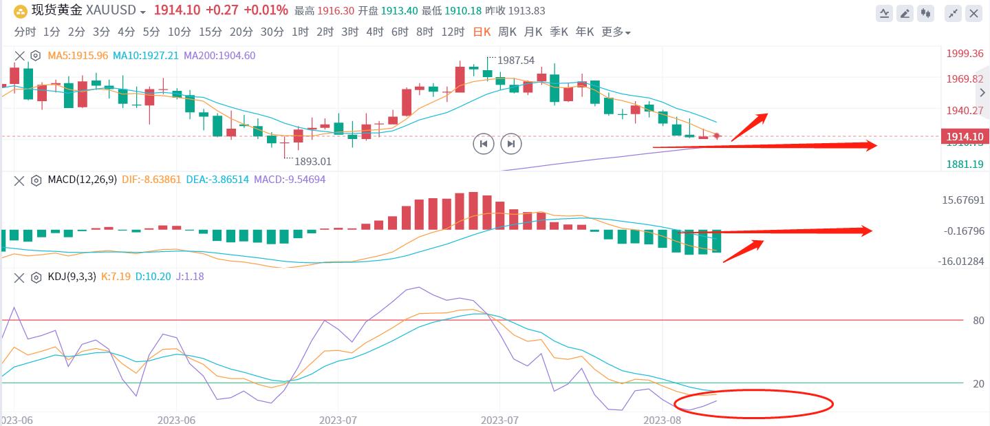 8.31日黄金行情走势操作建议,8.23黄金原油行情走势分析