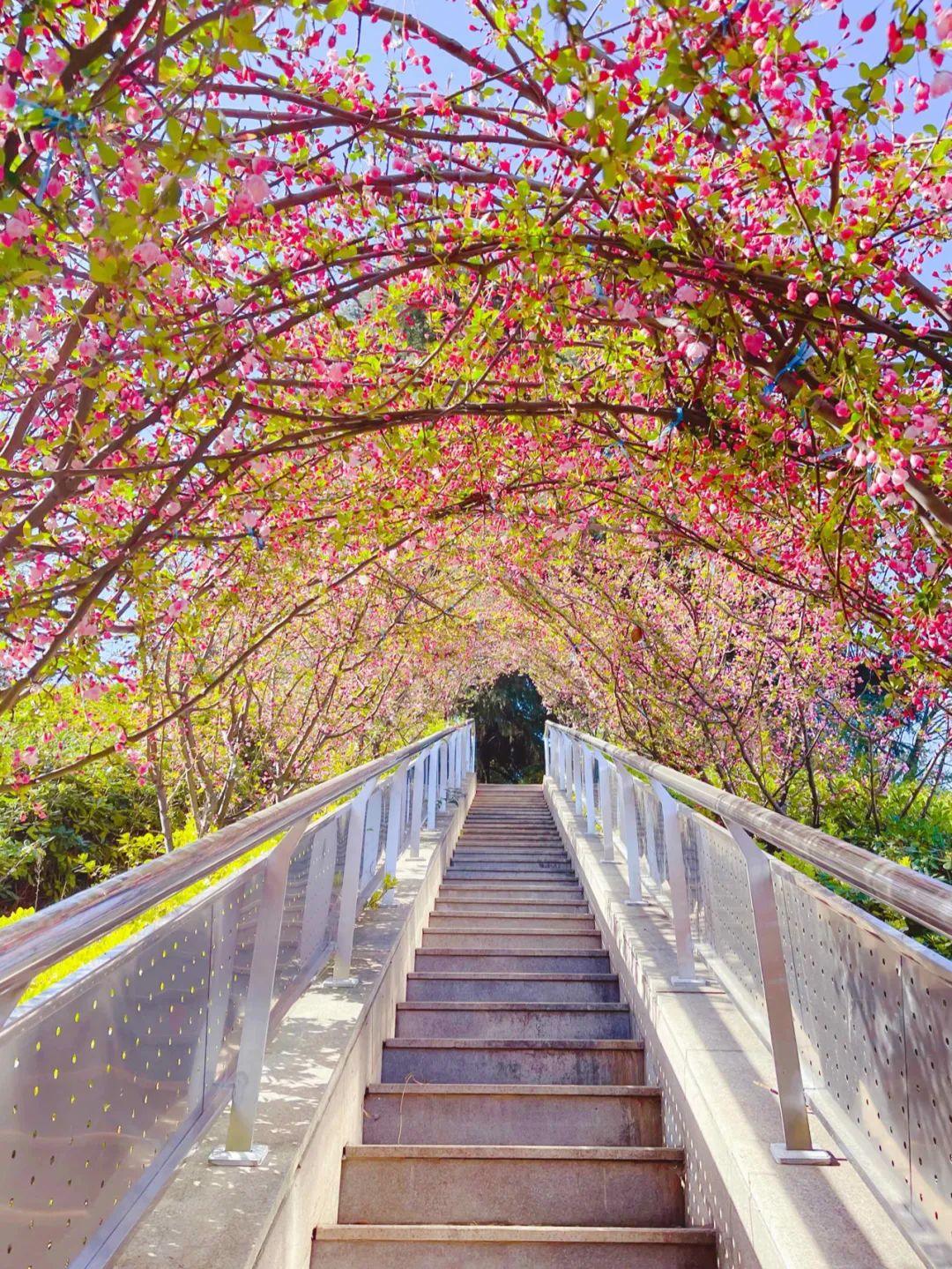 一句话总结南京高校,三句话赞美学校