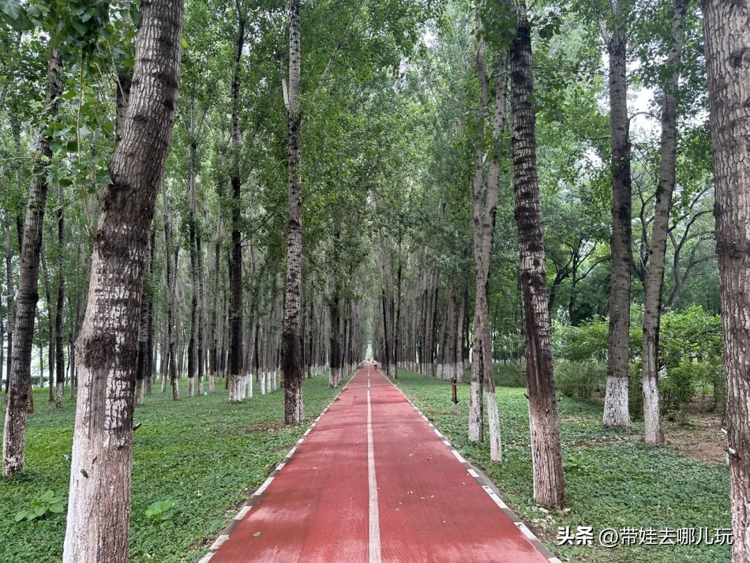 可搭帐篷公园,可以骑车搭帐篷的公园