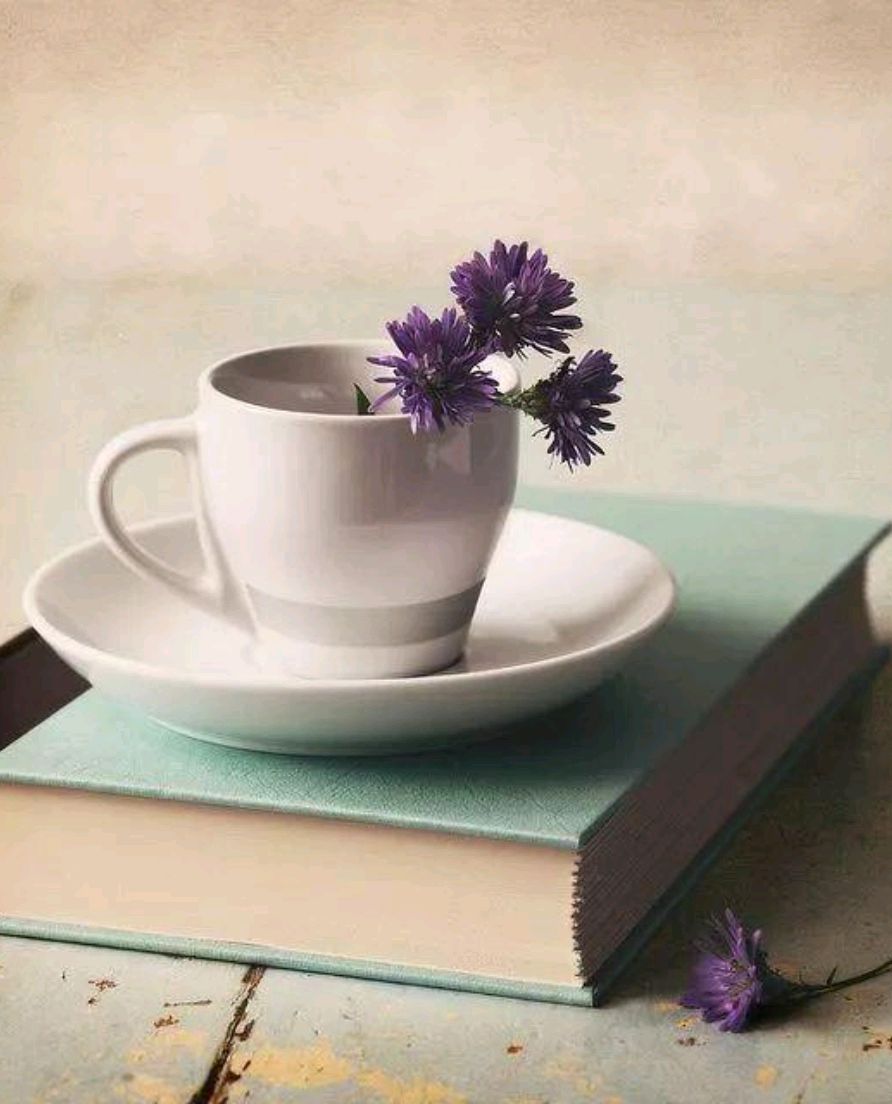 让人心灵平静的散文,散文人生最好的境界是丰富的安静