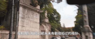 爽麻了！尺度美女全程飙车，它一回归，全球影迷都得高潮…