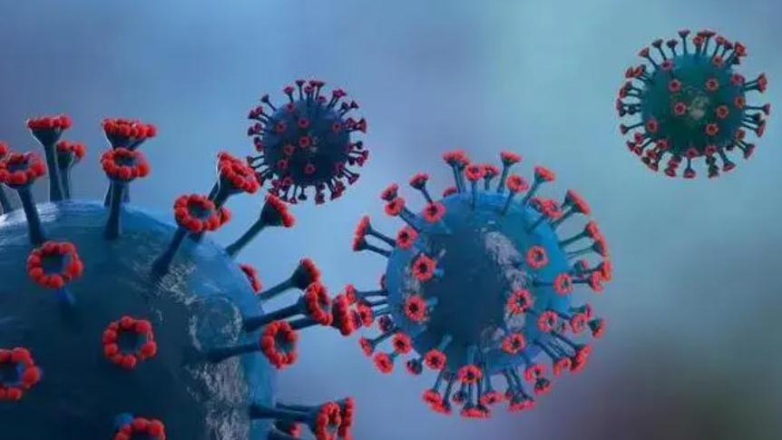 印度廉价新冠药品,新冠特效药在印度的售价