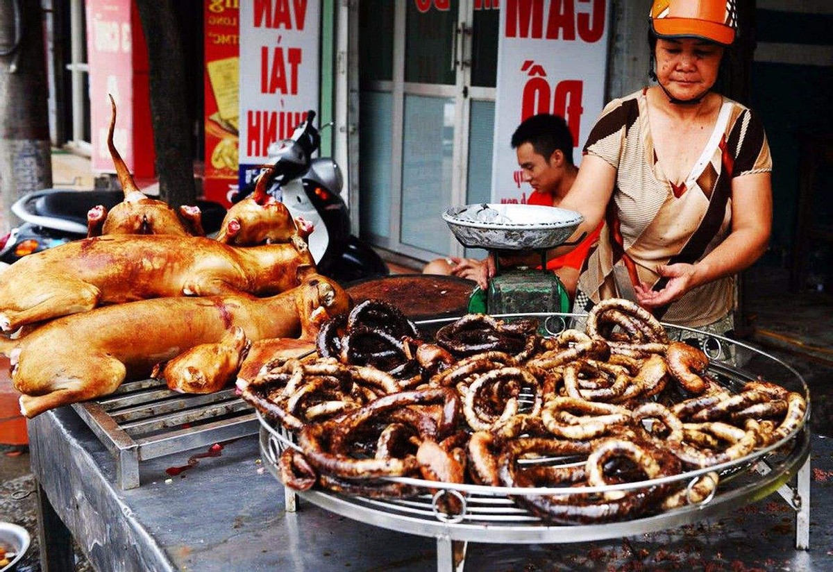 猫咪终究没能避开越南人的屠刀,越南人日食上万只猫,为啥爱吃猫