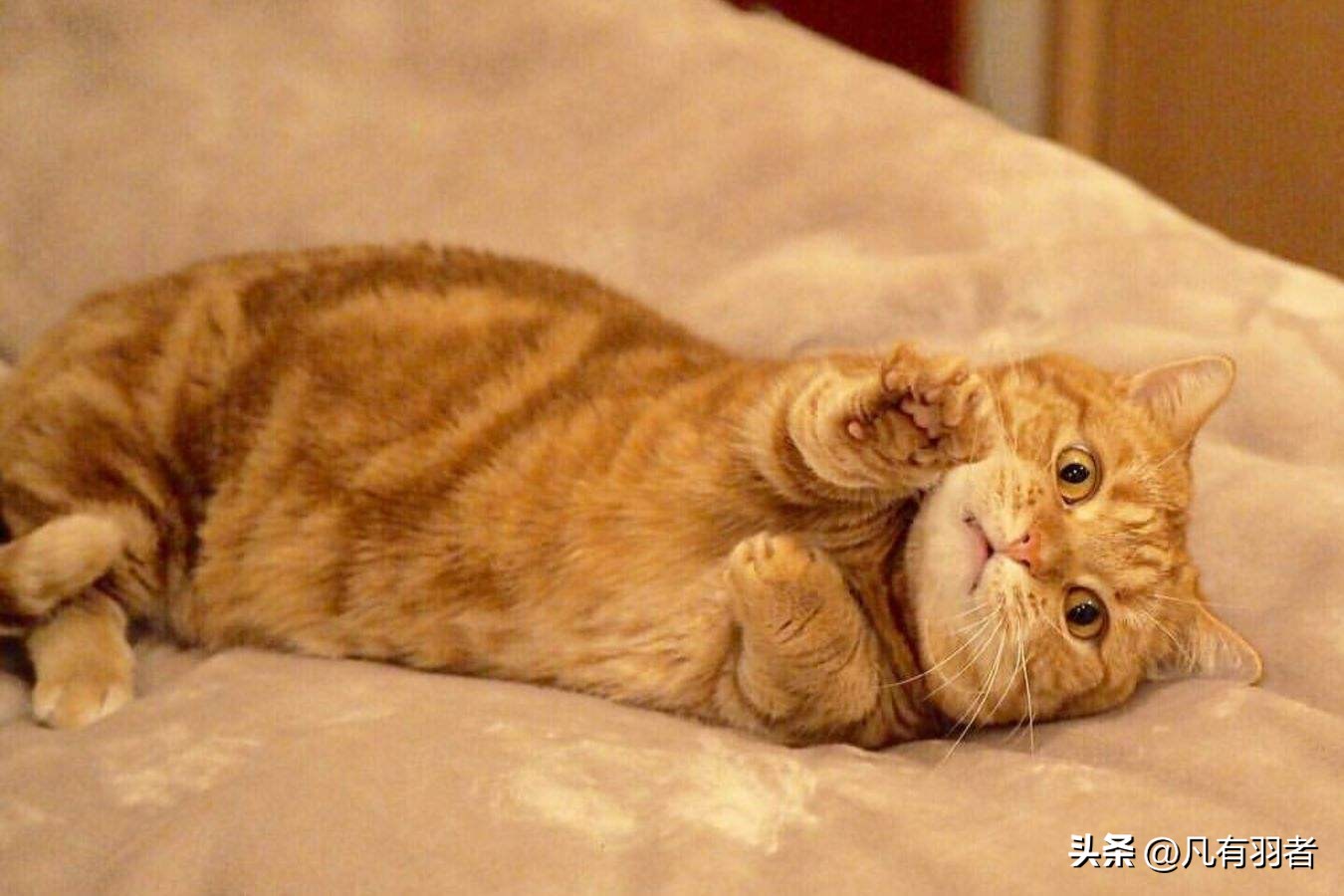 学生希望自己成为怎样的人,学生想要成为一个什么样的人