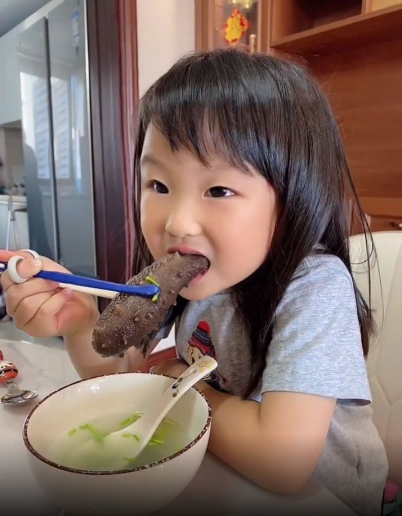 红极参和海参的区别在哪里,海参和红极参的区别