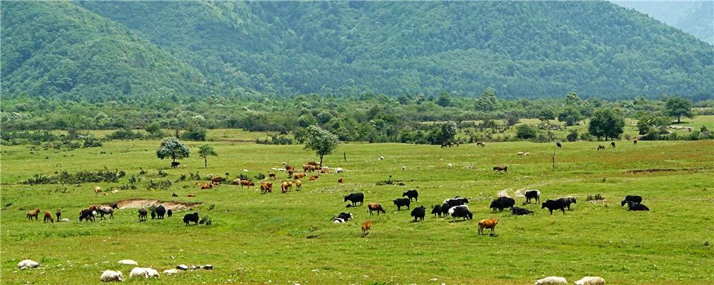 雅安暑假游攻略最佳线路,雅安必玩