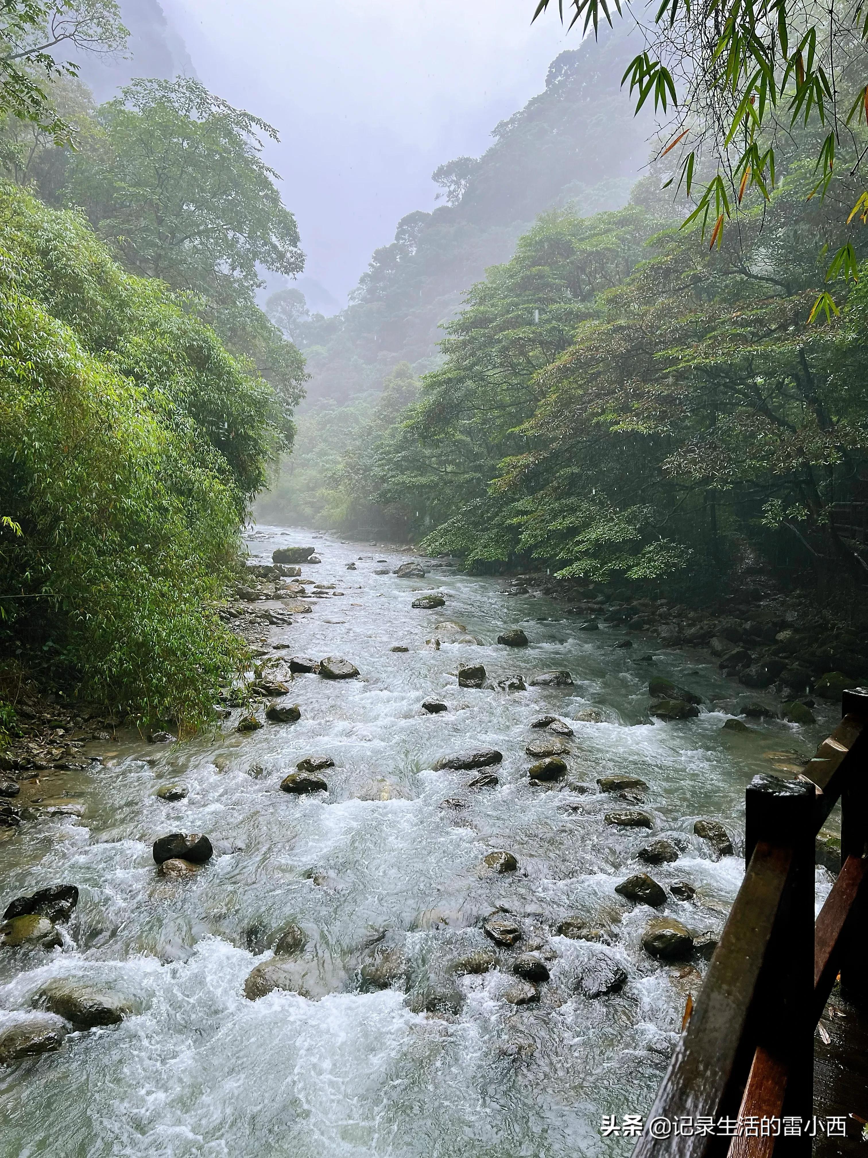 重庆到黑山谷景区怎么坐车,重庆黑山谷自驾游一天