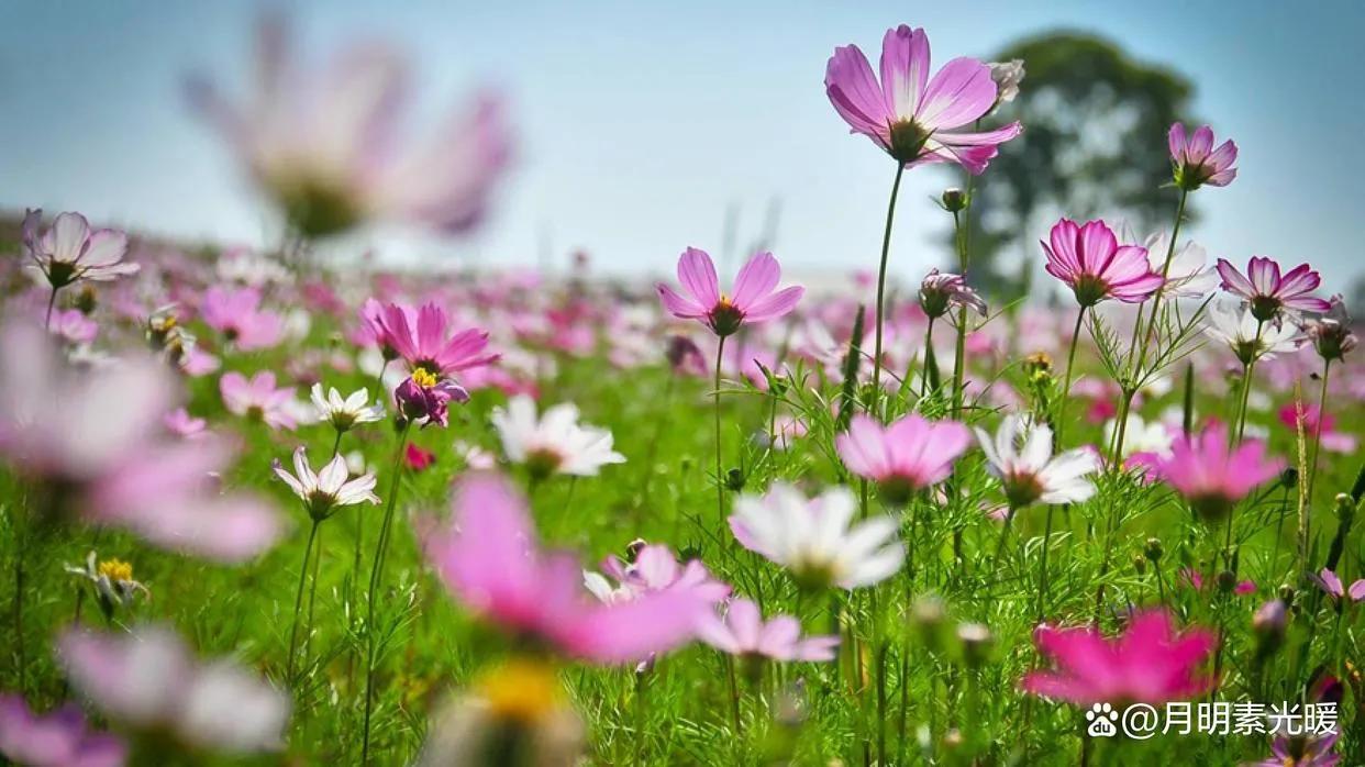 提前还贷的最佳时间,提前还贷要什么资料