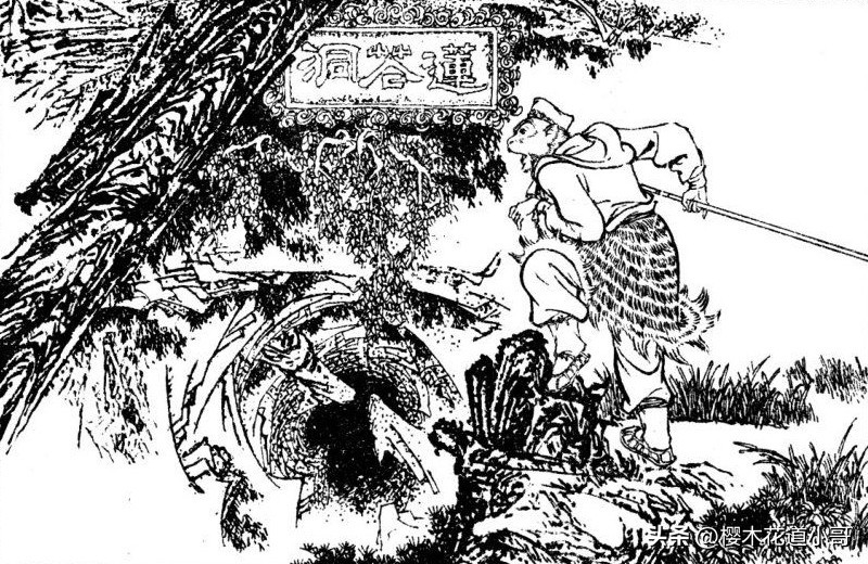 西游记天罡地煞108变解释,mud西游攻略