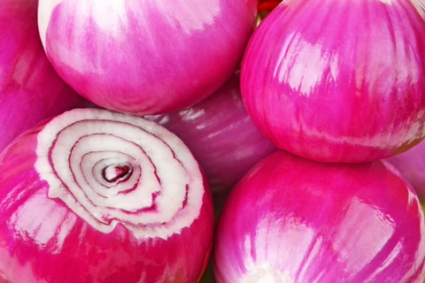 三九补一冬吃什么食物,冬补三九下一句