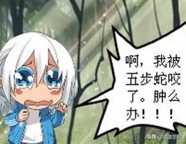 莽山烙铁头17.7公斤是真的吗,莽山烙铁头5000一条是真的吗