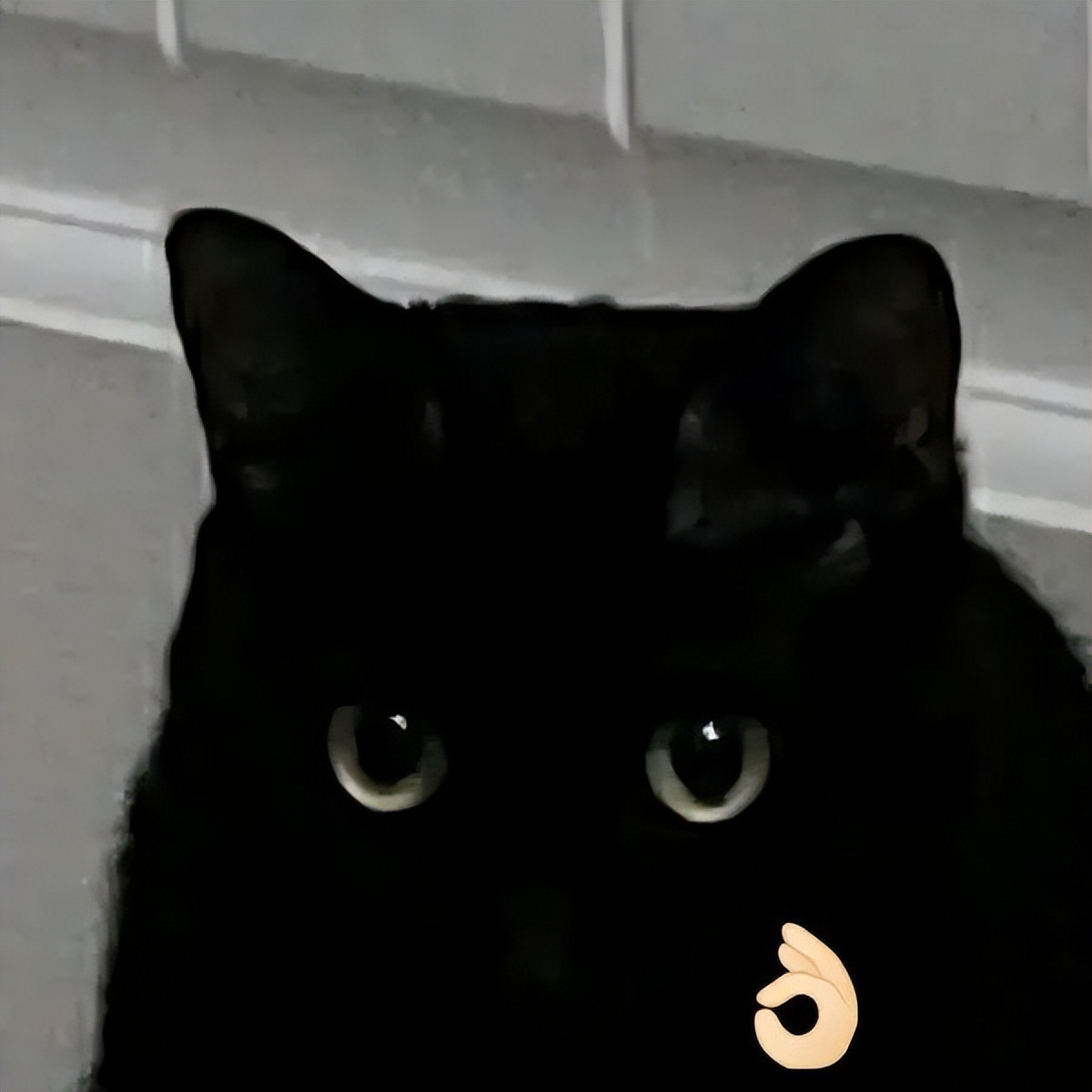 怎么注册微信小号不用手机号,微信注册小号必须用手机号吗