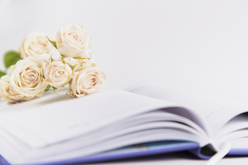 初中生作文万能开头万能结尾,万能开头结尾20字50篇